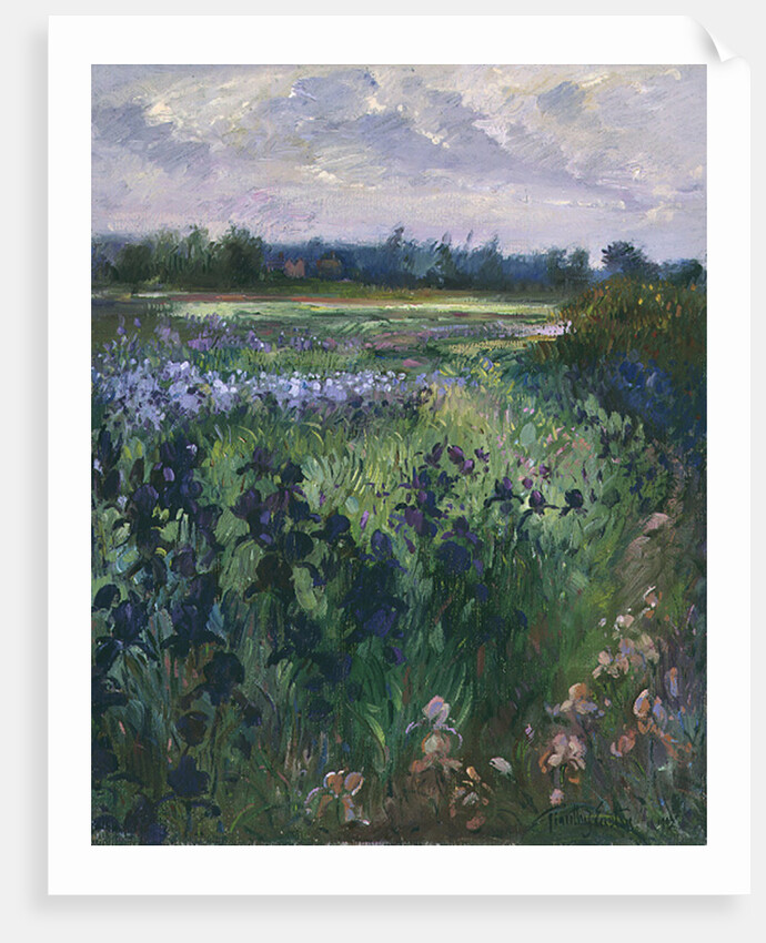 Across Great Green, Burgate, 1992 by Timothy Easton