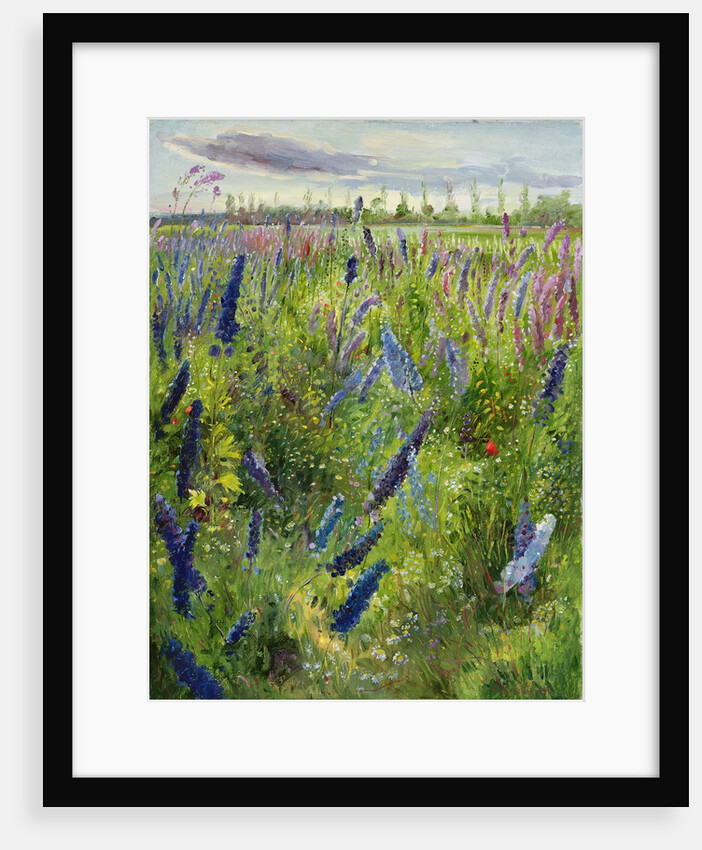 Delphiniums and Emerging Sun, 1991 by Timothy Easton