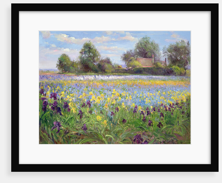 Farmstead and Iris Field, 1992 by Timothy Easton