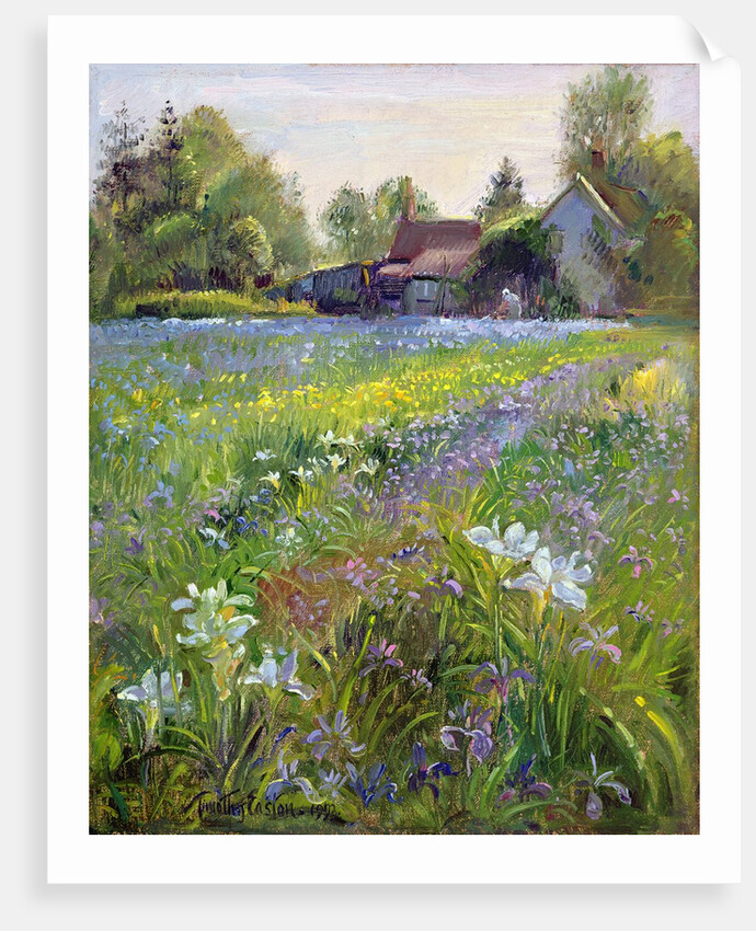 Dwarf Irises and Cottage, 1993 by Timothy Easton