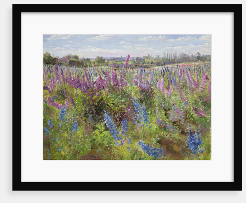 Delphiniums and Poppies, 1991 by Timothy Easton