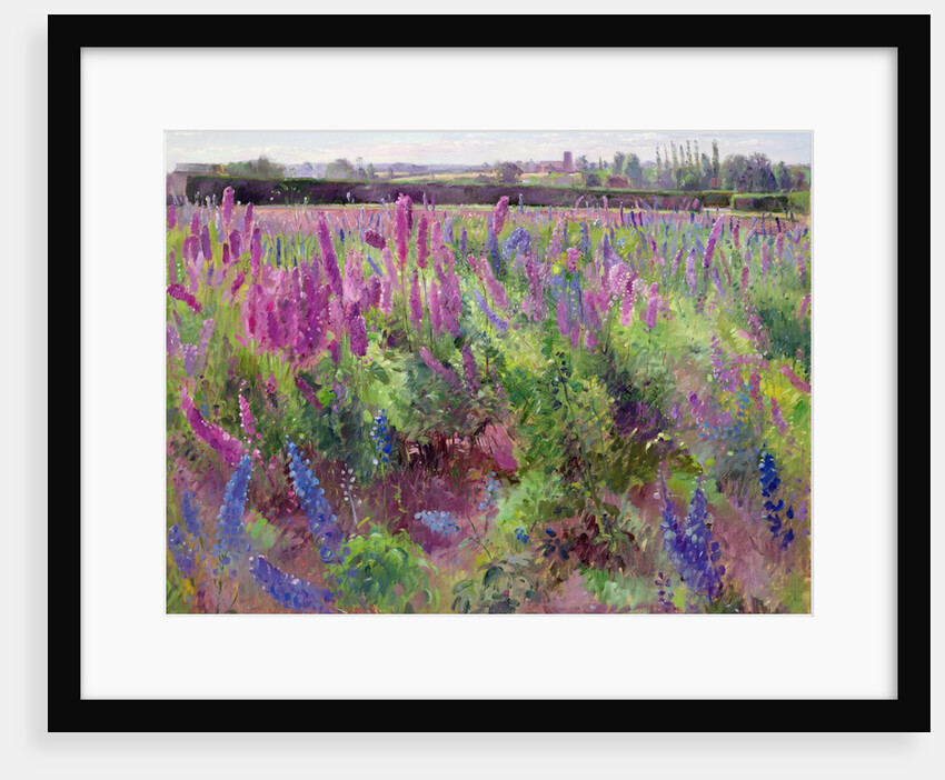 The Delphinium Field, 1991 by Timothy Easton