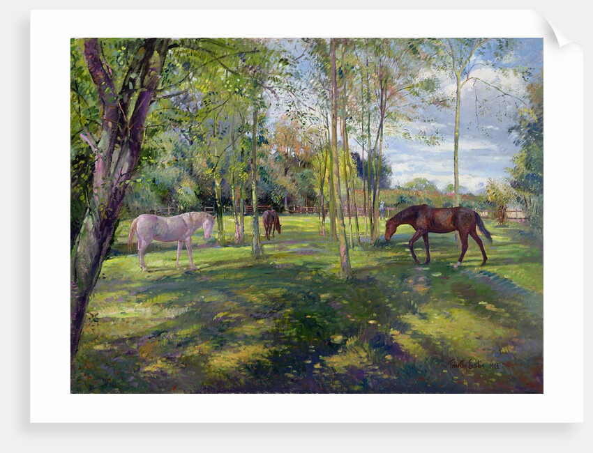 In the Rectory Paddock, 1993 by Timothy Easton
