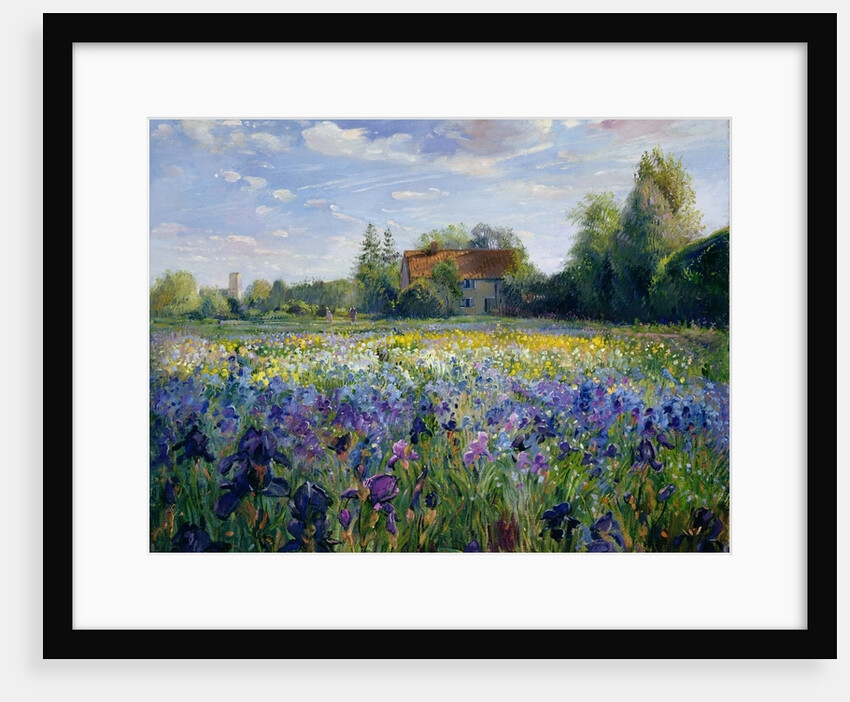 Evening at the Iris Field by Timothy Easton