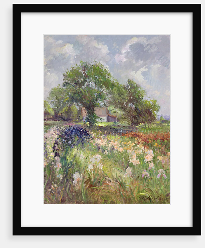 White Barn and Iris Field, 1992 by Timothy Easton