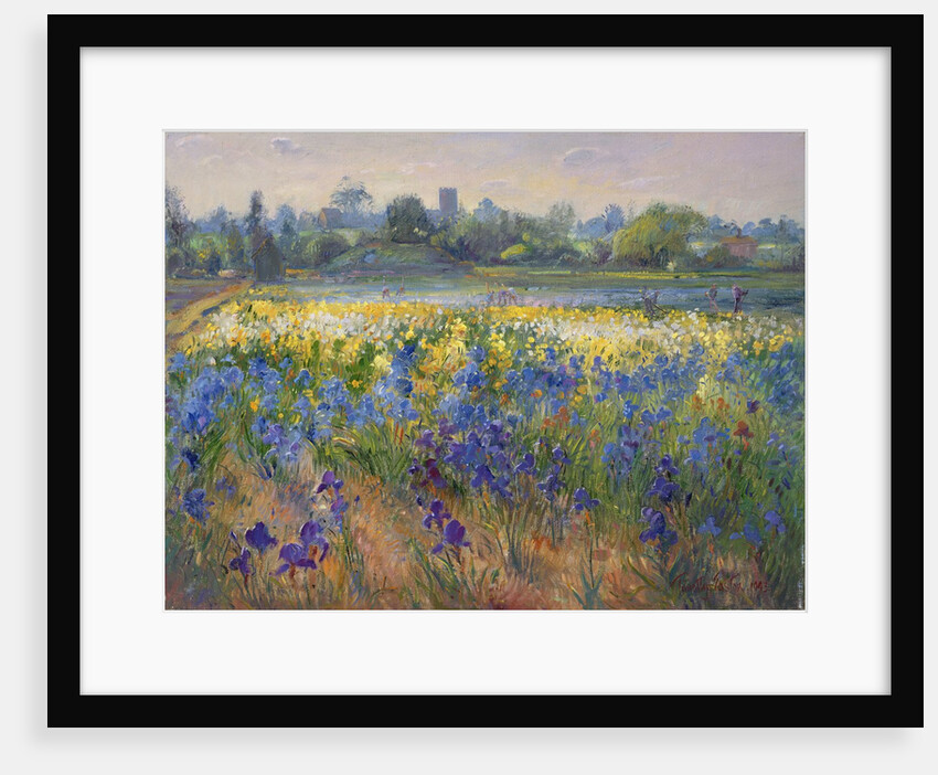 Blue Haze at Burgate, 1993 by Timothy Easton