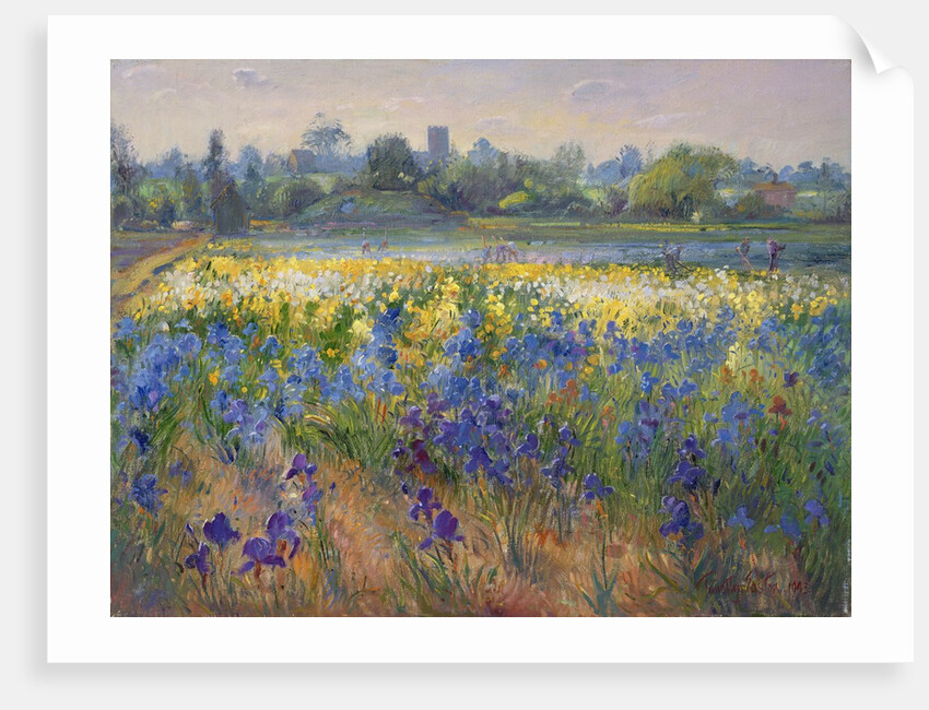 Blue Haze at Burgate, 1993 by Timothy Easton