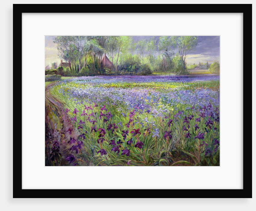 Trackway past the Iris Field, 1991 by Timothy Easton
