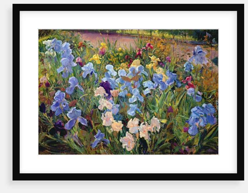 The Iris Bed, 1993 by Timothy Easton