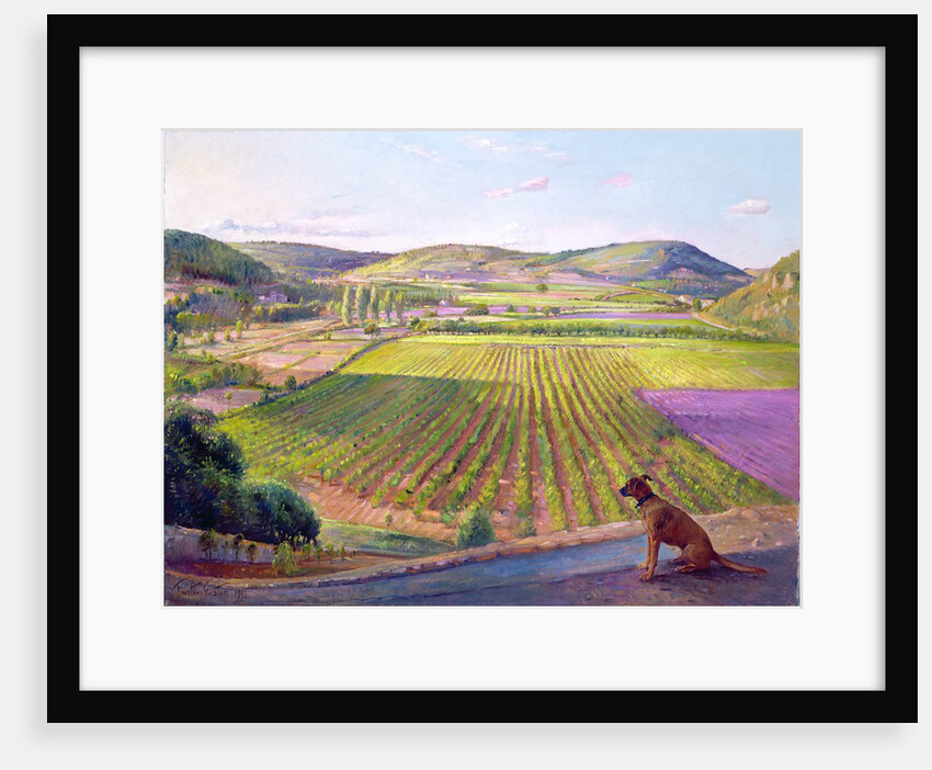 Watching from the Walls, Old Provence, 1993 by Timothy Easton