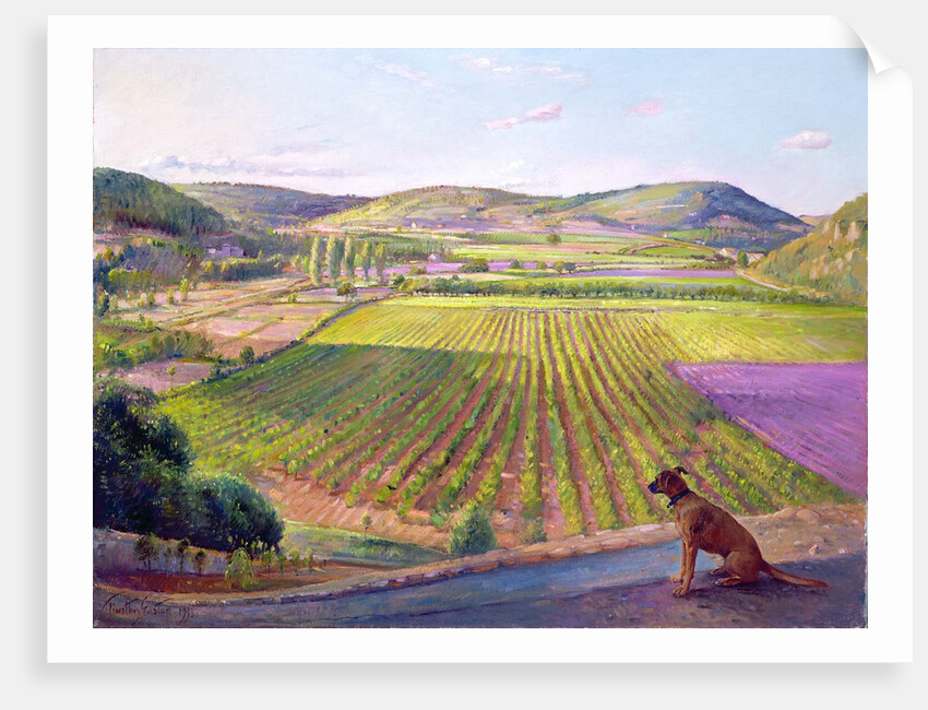 Watching from the Walls, Old Provence, 1993 by Timothy Easton