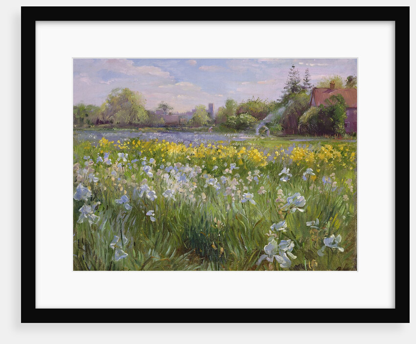 Bonfire and Iris Field, 1993 by Timothy Easton