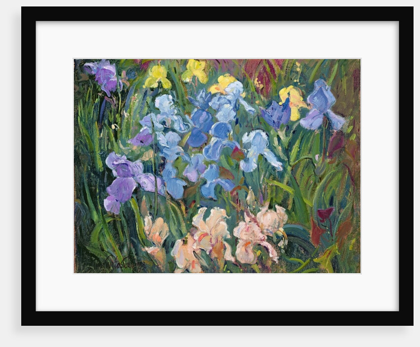 Irises: Pink, Blue and Gold, 1993 by Timothy Easton
