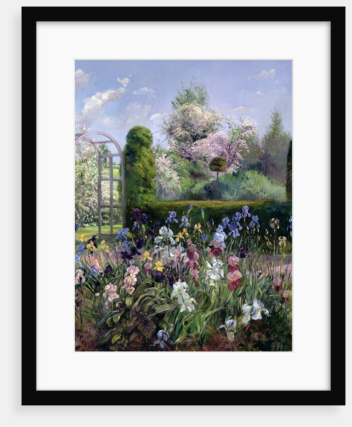 Irises in the Formal Gardens, 1993 by Timothy Easton