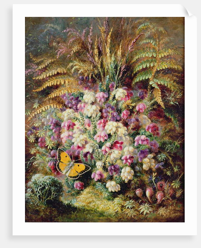 Bell Heather, 1877 by Albert Durer Lucas