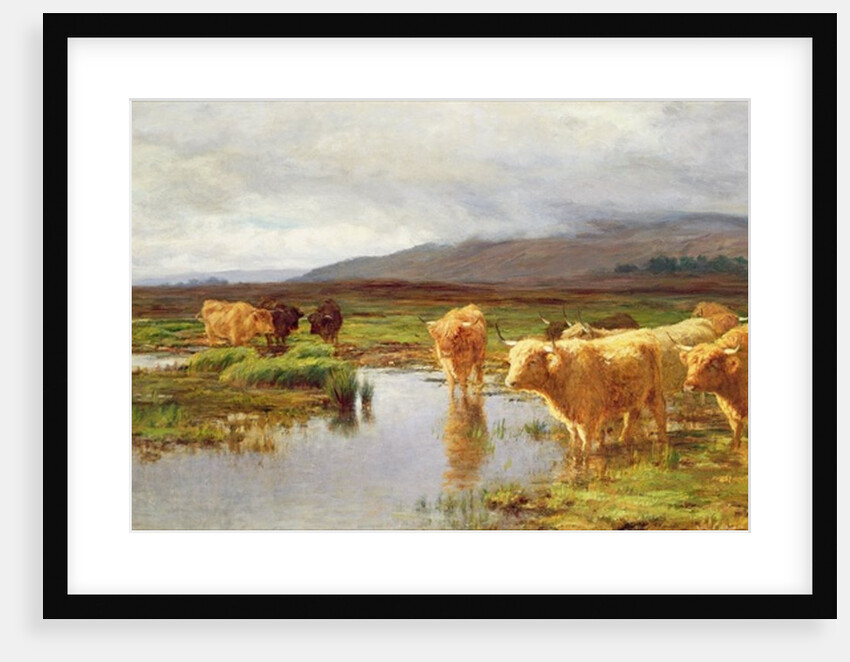 Moorlands and Mist by Duncan McLaurin