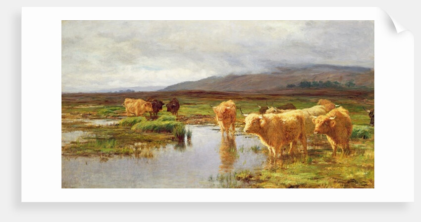 Moorlands and Mist by Duncan McLaurin