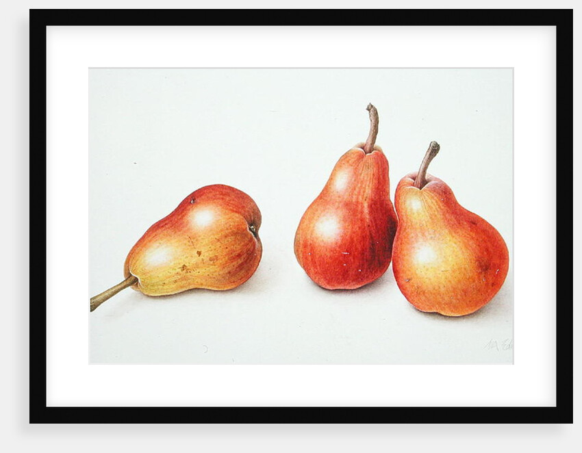 Red Pears, 1996 by Margaret Ann Eden