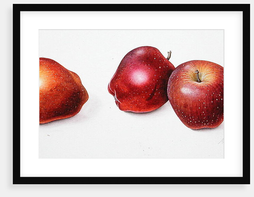 Red Apples, 1996 by Margaret Ann Eden