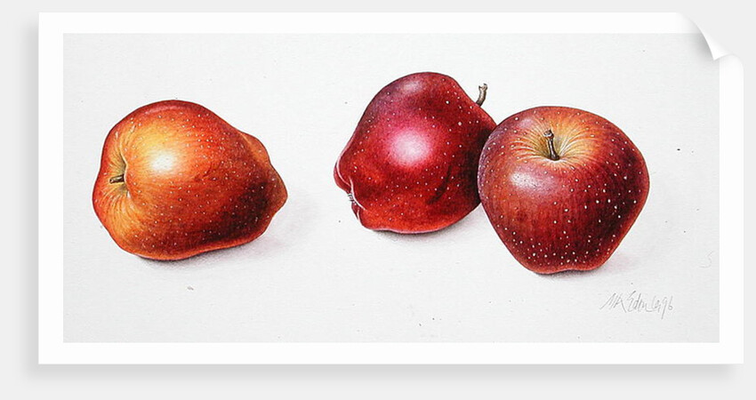 Red Apples, 1996 by Margaret Ann Eden
