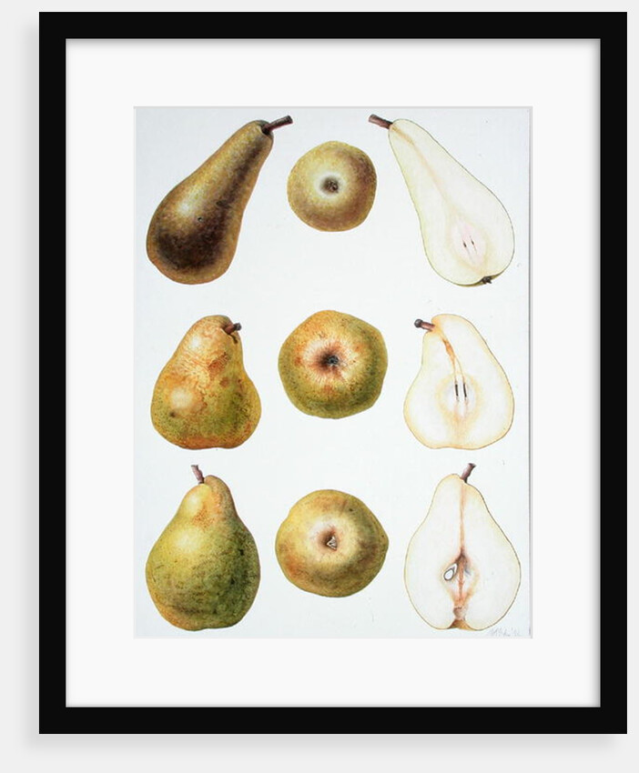 Six Pears, 1994 by Margaret Ann Eden