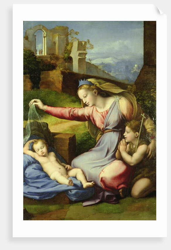 Virgin of the Veil by Giovanni Francesco Penni