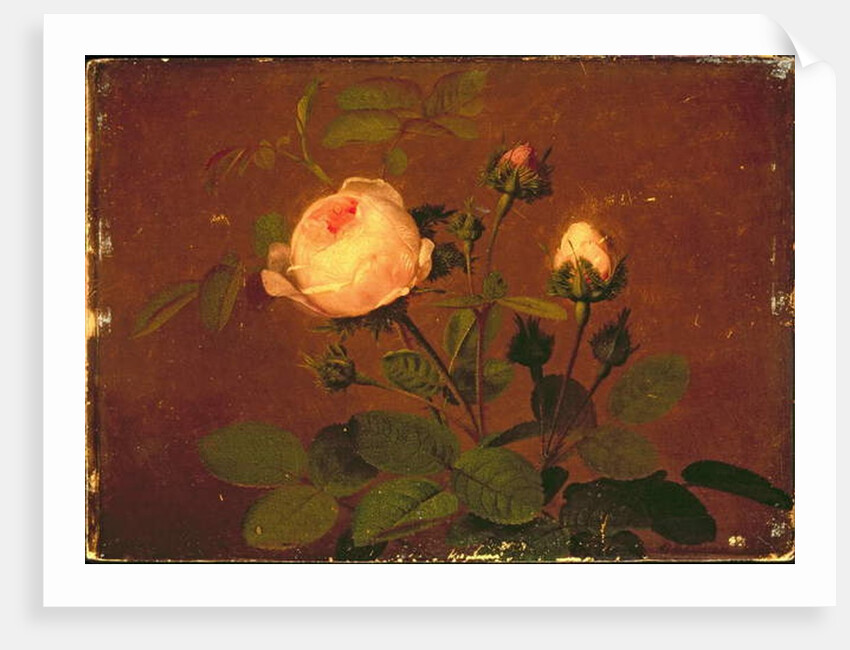 Roses, Roses by Otto Didrik Ottesen