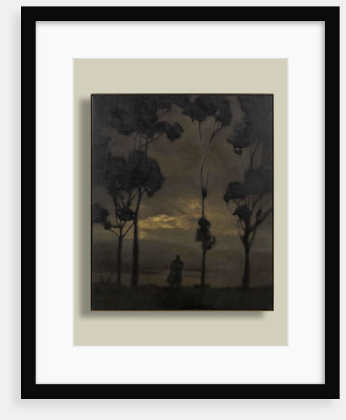 Nearly Hour by Anne Magill