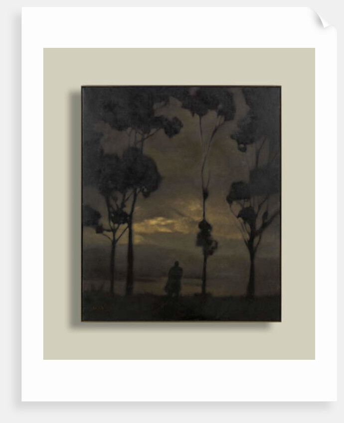 Nearly Hour by Anne Magill