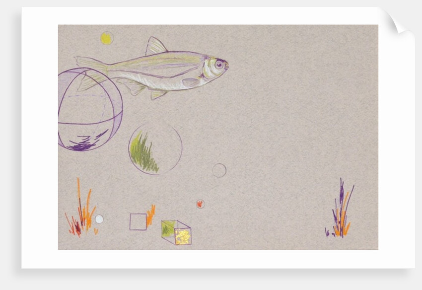 Floating, 2014 by Eleanor Grafton