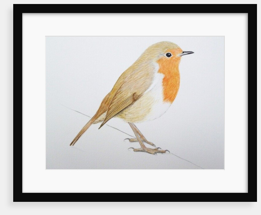 Robin, 2011 by Eleanor Grafton