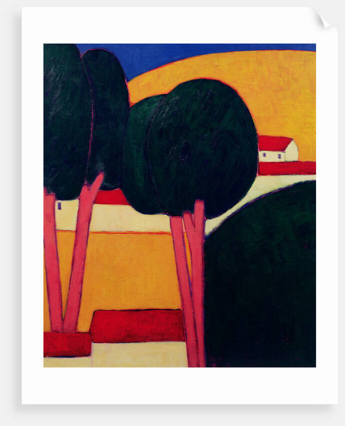 Provencal Farm, 1997 by Eithne Donne