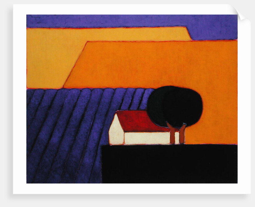 Lavender Field, Provence, 2004 by Eithne Donne