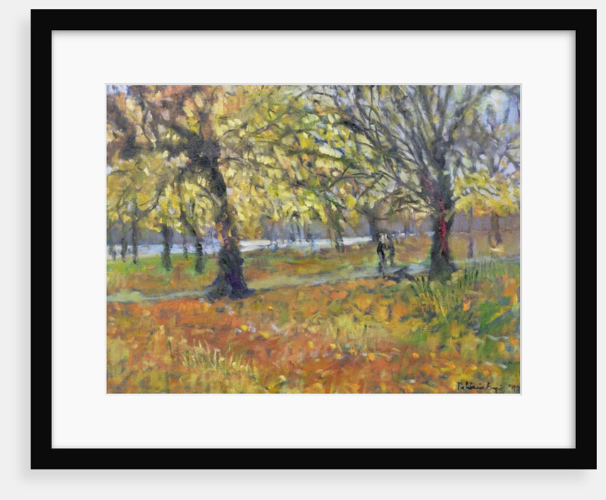 November in Hyde Park, 1997 by Patricia Espir