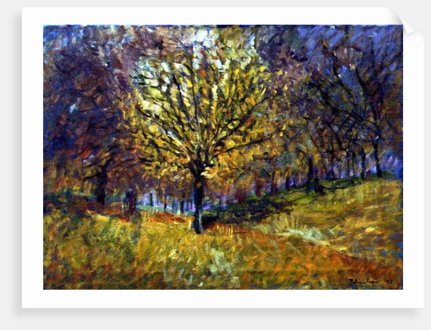 November in Hyde Park, 1997 by Patricia Espir