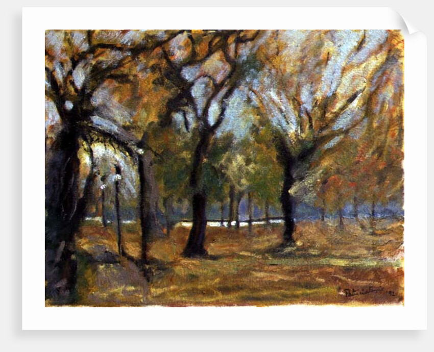 Gas Lights in Hyde Park, 1992 by Patricia Espir