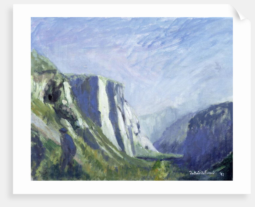 El Capitan, Yosemite National Park, 1993 by Patricia Espir