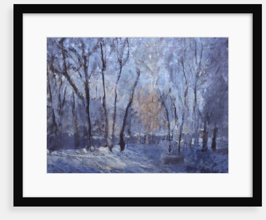 Snow in the Garden, 1993 by Patricia Espir