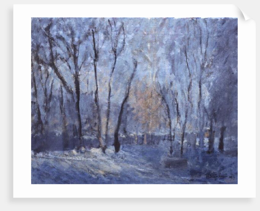 Snow in the Garden, 1993 by Patricia Espir