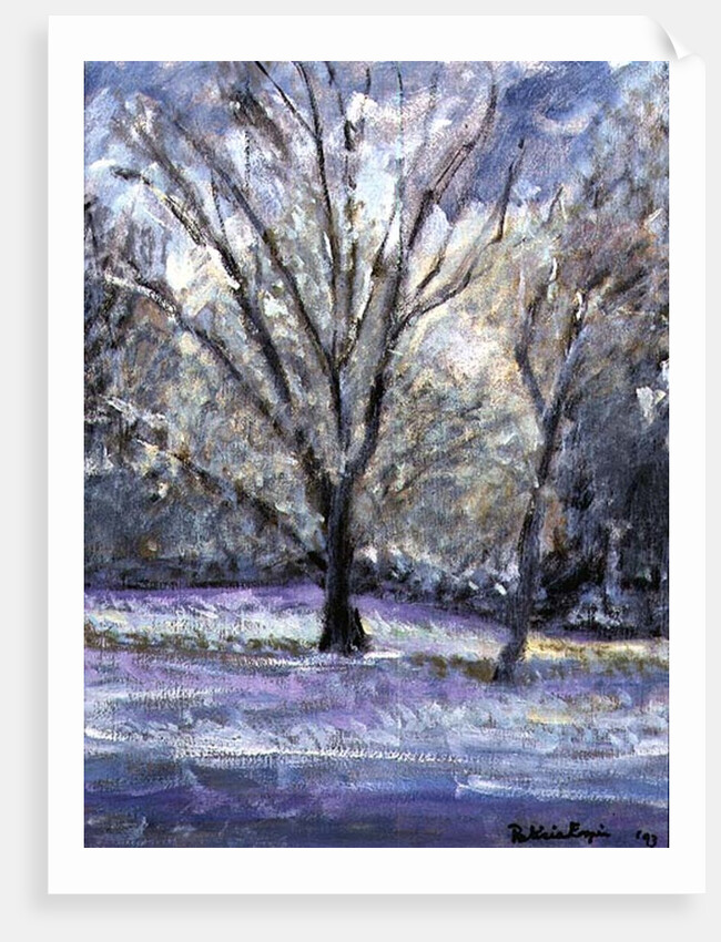 Snow Scene by Patricia Espir