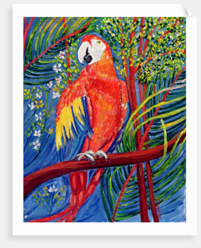 Pretty Polly by Patricia Eyre
