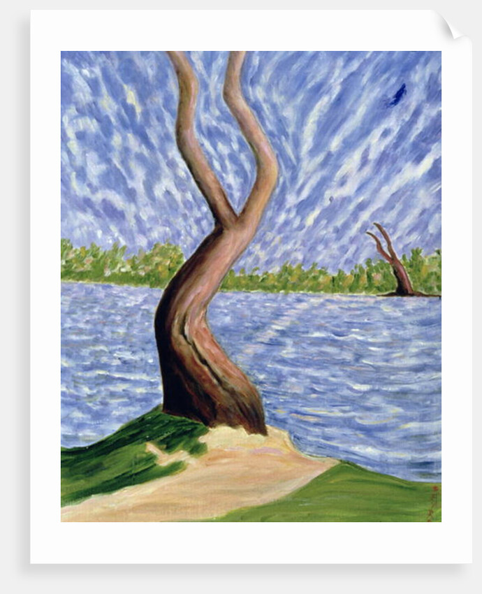 Frustrated Love by Patricia Eyre