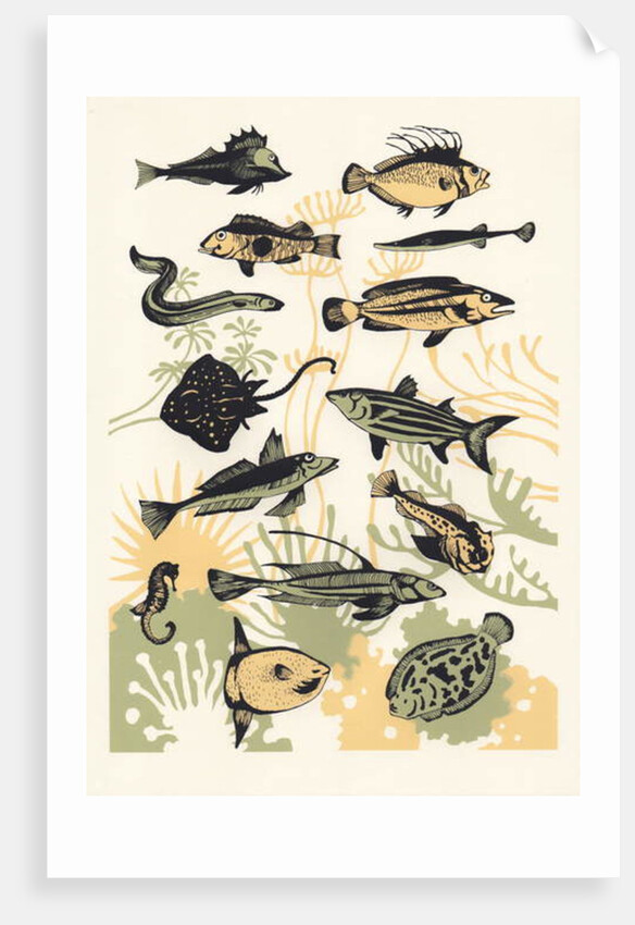 Peach Seaweed Fish, 2015 by Eliza Southwood