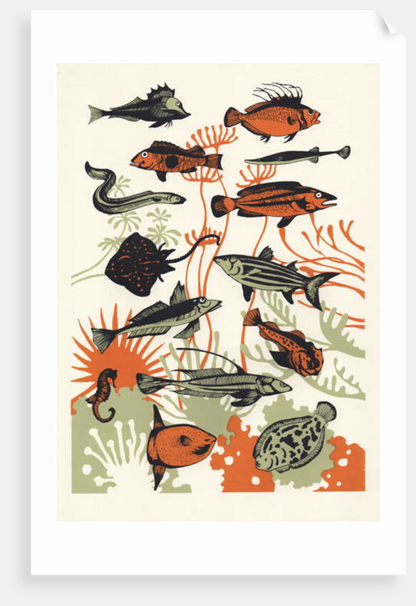Orange Seaweed Fish, 2015 by Eliza Southwood