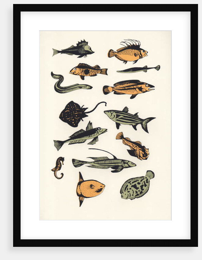 Plain Fish, 2015 by Eliza Southwood