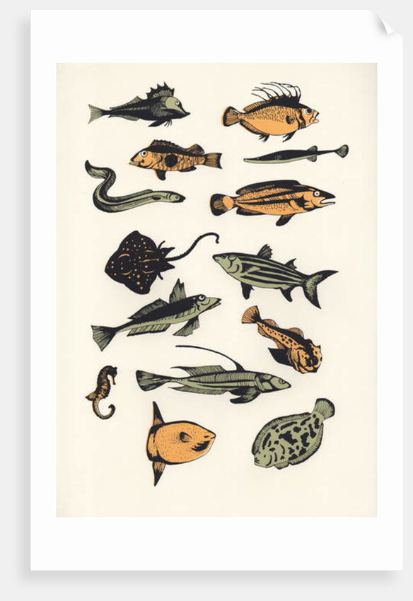 Plain Fish, 2015 by Eliza Southwood