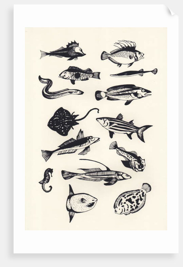 Monotone Plain Fish, 2015 by Eliza Southwood