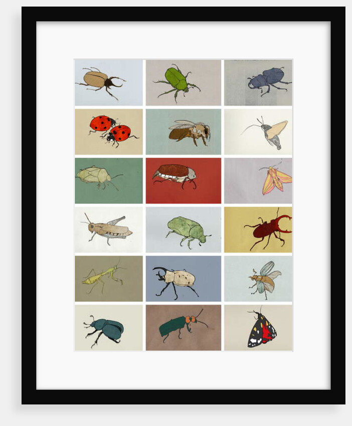 Insects, 2012 by Eliza Southwood