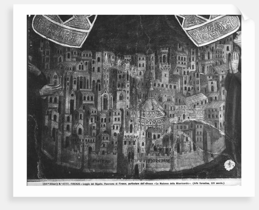 The Madonna della Misericordia by Italian School