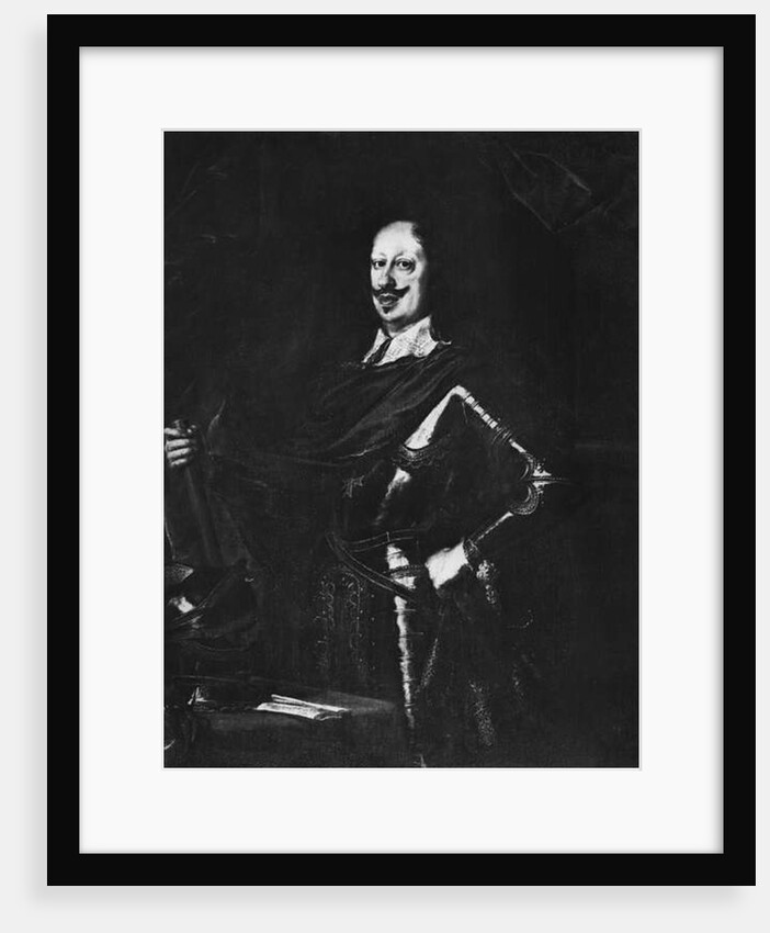 Portrait of Ferdinand II de' Medici by Justus Sustermans